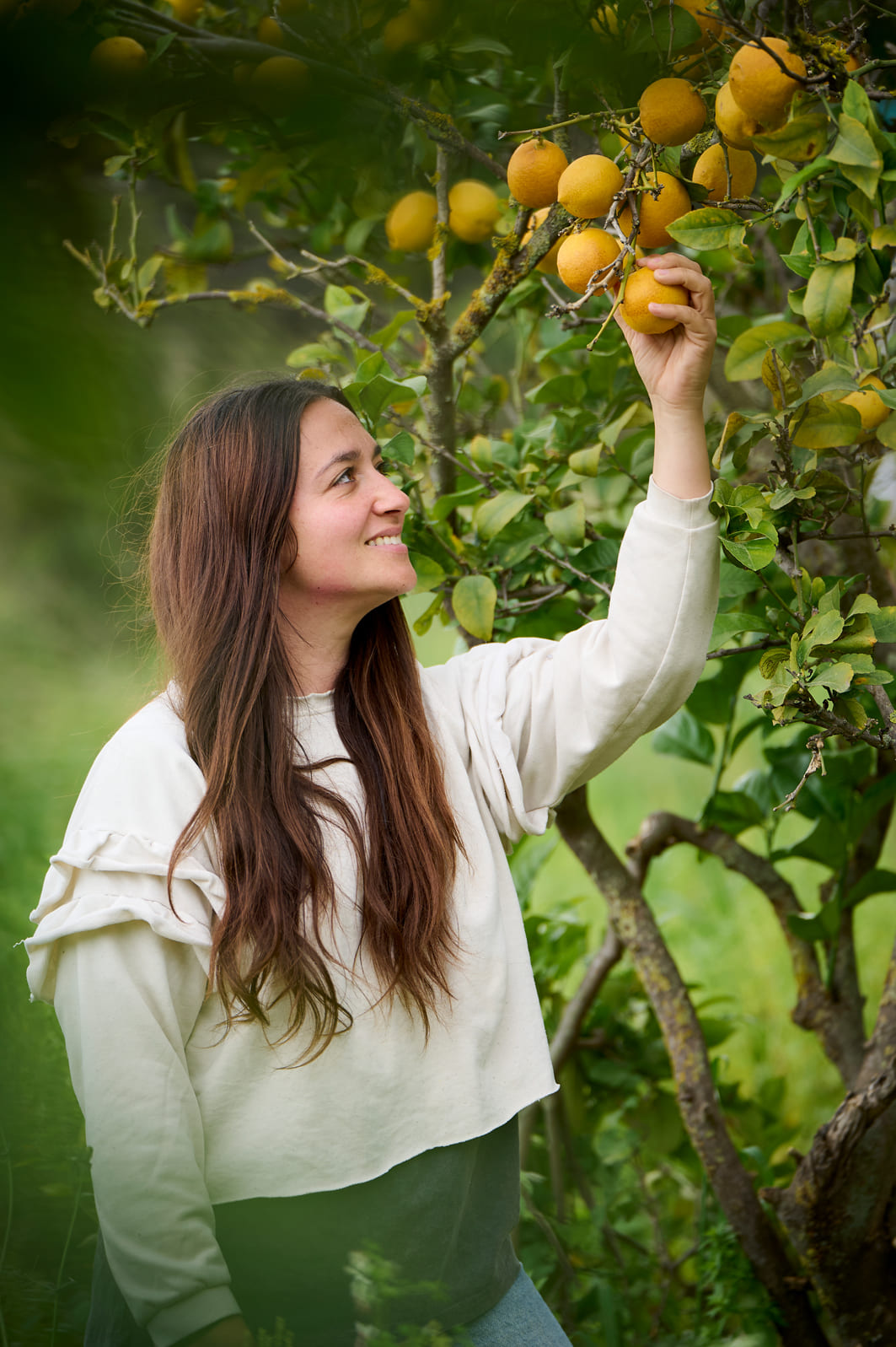 Dona agafant una taronja a un arbre