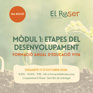 M1: Etapes del desenvolupament